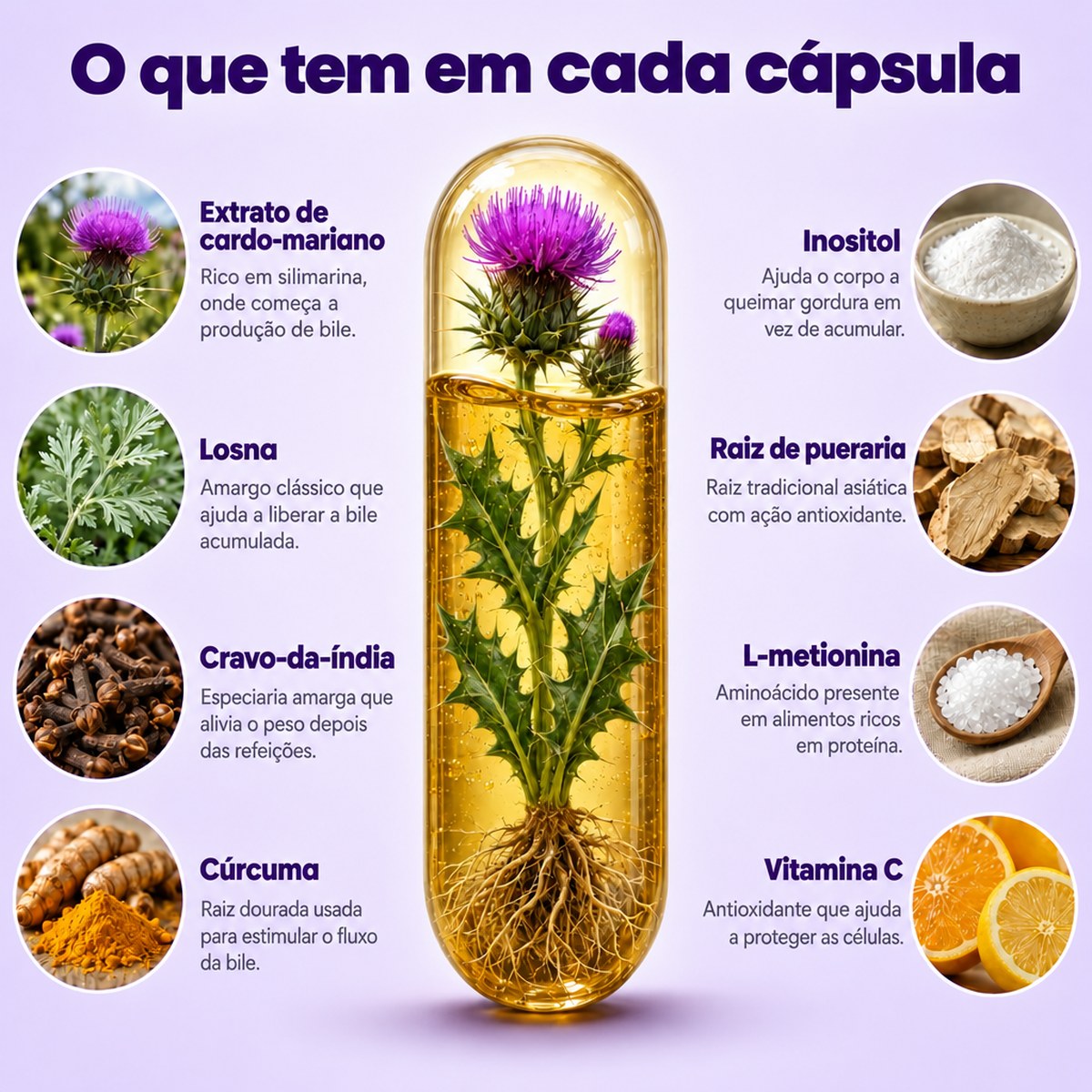 Gevilo® Cardo-Mariano Fígado & Digestão – imagem 4